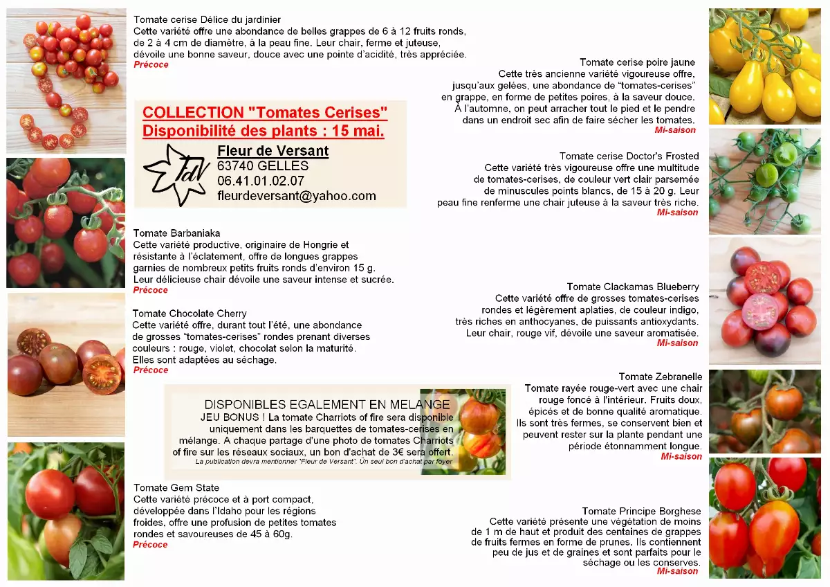 Tomates - Le catalogue